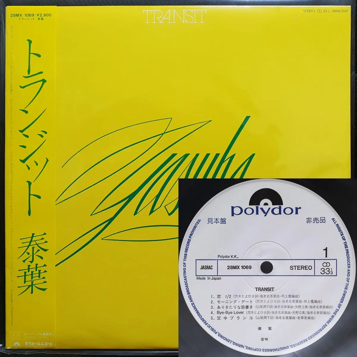 야스하 YASUHA TRANSIT LP 견본반 | 브랜드 중고거래 플랫폼, 번개장터